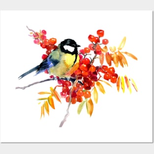 Great Tit Bird and Berries Posters and Art